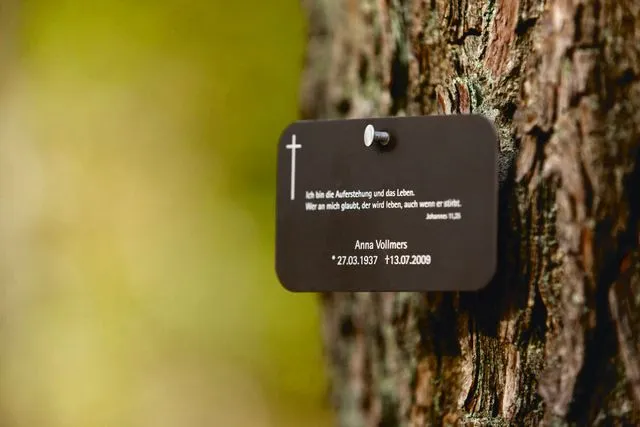 Friedwald Namenstafel Nahaufnahme, Baumbestattung Chemnitz und Region