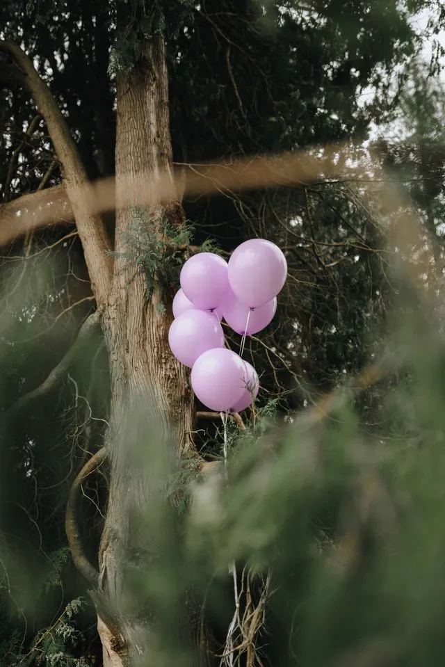 Lila Luftballons im Baum als symbolisches Gedenken an Sternenkinder
