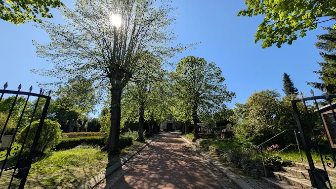 Sonniger Spazierweg auf dem Friedhof-Chemnitz-Rabenstein mit Bäumen und gepflegter Natur